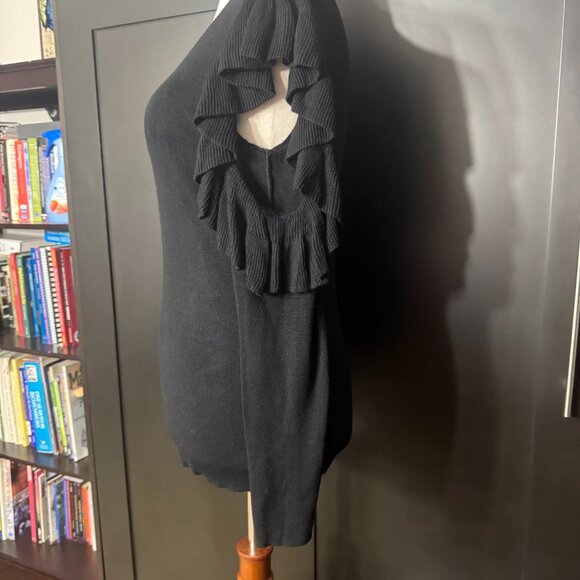 Max Studio Ruffle Sleeve Sweater + Turtleneck + Zebra Scarf Bundle M - Picture 3 of 13